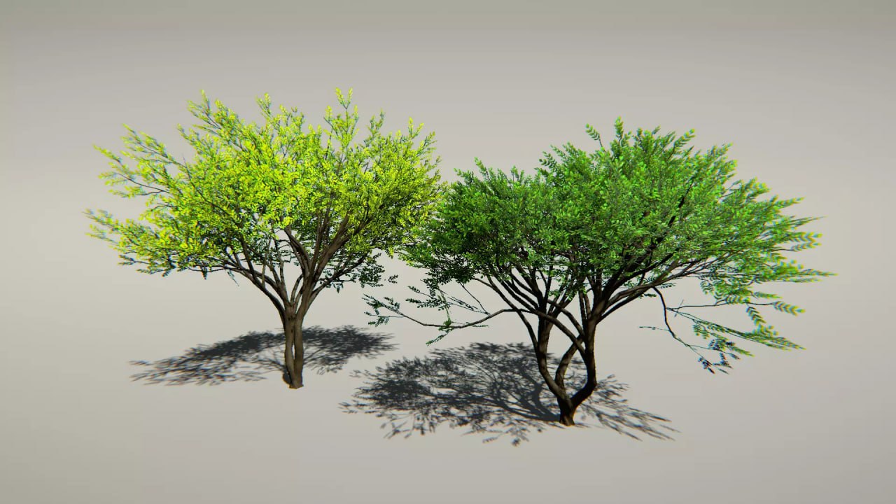 Animated Trees Package📱 - изображение 3